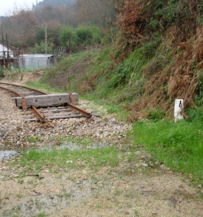 Chemin de fer de Tâmega (entre Livração et Amarante)